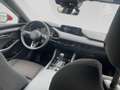 Mazda Sonstige 20253 5HB 2.5L e-SKYACTIV G 140ps 6AT ... Rot - thumbnail 20