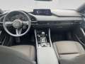 Mazda Sonstige 20253 5HB 2.5L e-SKYACTIV G 140ps 6AT ... Rot - thumbnail 18