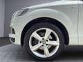 Audi Q7 3.0 TDI quattro (150kW) Weiß - thumbnail 22