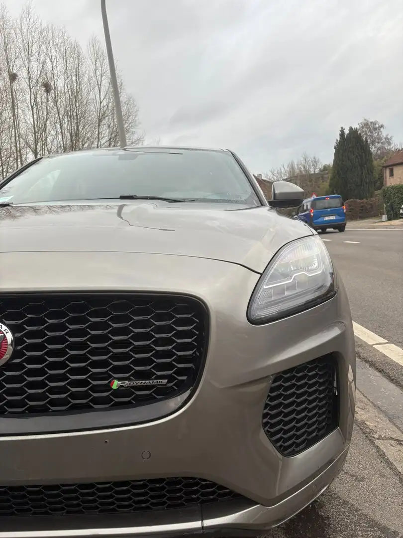 Jaguar E-Pace 2.0 T AWD R-Dynamic (EU6.2) * belge car-pass * Beige - 2