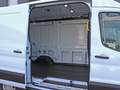 Ford E-Transit Kasten Trend 350L2H2 67kWh 184PS LAGER AKTION Weiß - thumbnail 11