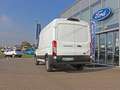 Ford E-Transit Kasten Trend 350L2H2 67kWh 184PS LAGER AKTION Weiß - thumbnail 4