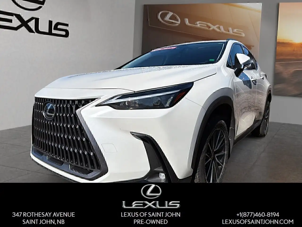 2024 Lexus NX