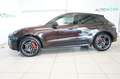 Porsche Macan GTS 360°+Bose+SHZ+Leder+1.Hand Braun - thumbnail 2