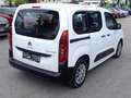 Citroen Berlingo BlueHDI 100 S&S Live Weiß - thumbnail 3