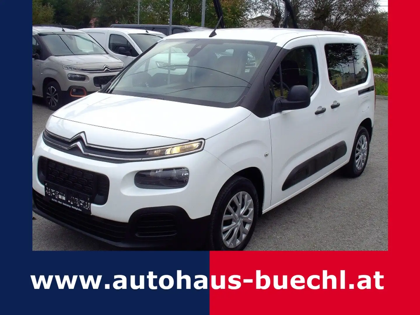 Citroen Berlingo BlueHDI 100 S&S Live Weiß - 1