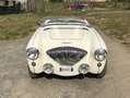Austin-Healey 100 100/4 - thumbnail 4