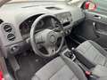Volkswagen Golf Plus VI 1.4 Comfortline PDC Klima AHK Rot - thumbnail 11