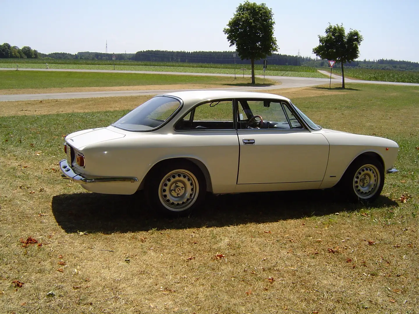 Alfa Romeo GT Weiß - 1