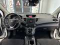 Honda CR-V 1.6 i-DTEC Comfort 2WD Blanc - thumbnail 13
