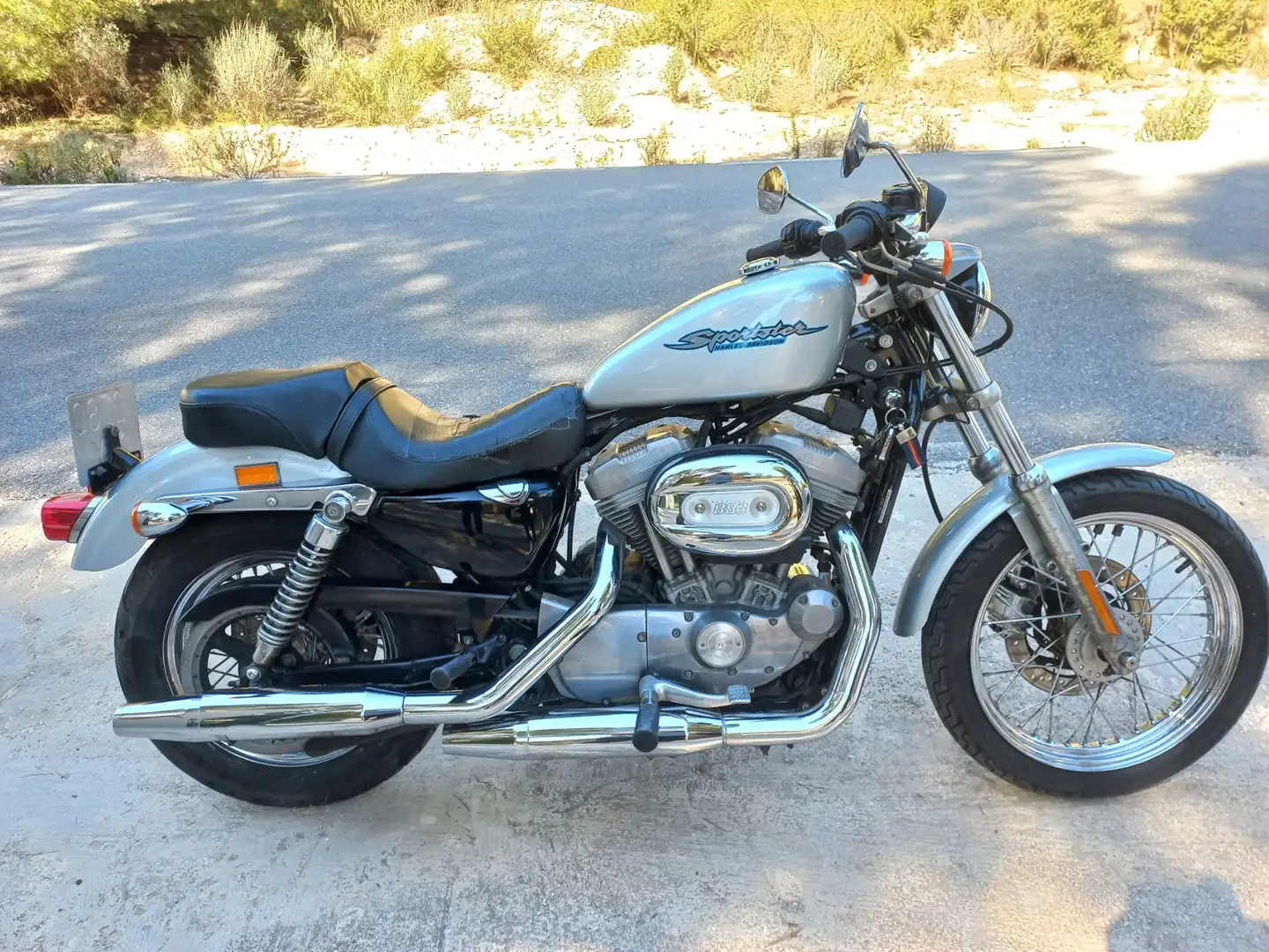 Harley-Davidson Sportster XL 883 Сірий - 1