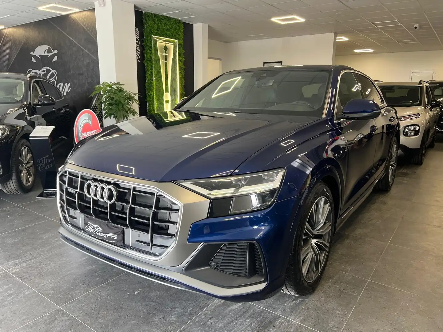 Audi Q8 Q8 I 2018 50 3.0 tdi mhev S-line quattro tiptronic Blu/Azzurro - 1