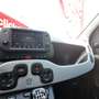 Fiat Panda Panda III Cross 1.0 firefly hybrid City Cross s Grigio - thumbnail 14
