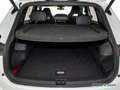 Volkswagen Tiguan 2.0 TDI R-Line DSG AHK AreaView Panorama Weiß - thumbnail 9