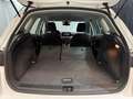 SEAT Arona -31% 1.0 TSI 110cv +GPS+RADAR+FULL LED+Options Beige - thumbnail 35
