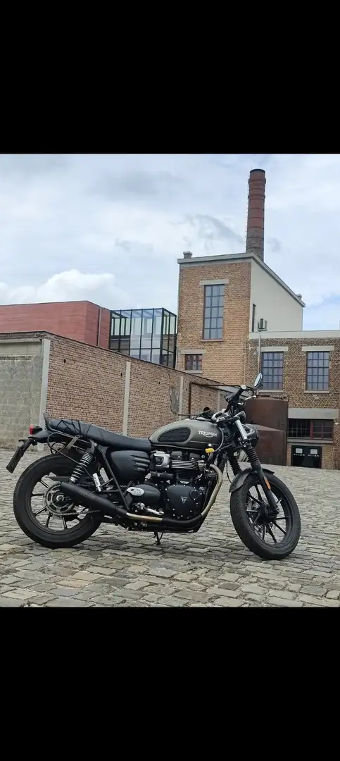 Triumph Street Twin Matt ironstone Braun - 1