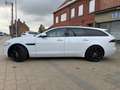 Jaguar XF XF E-Performance Sportbrake Aut. Pure Wit - thumbnail 3