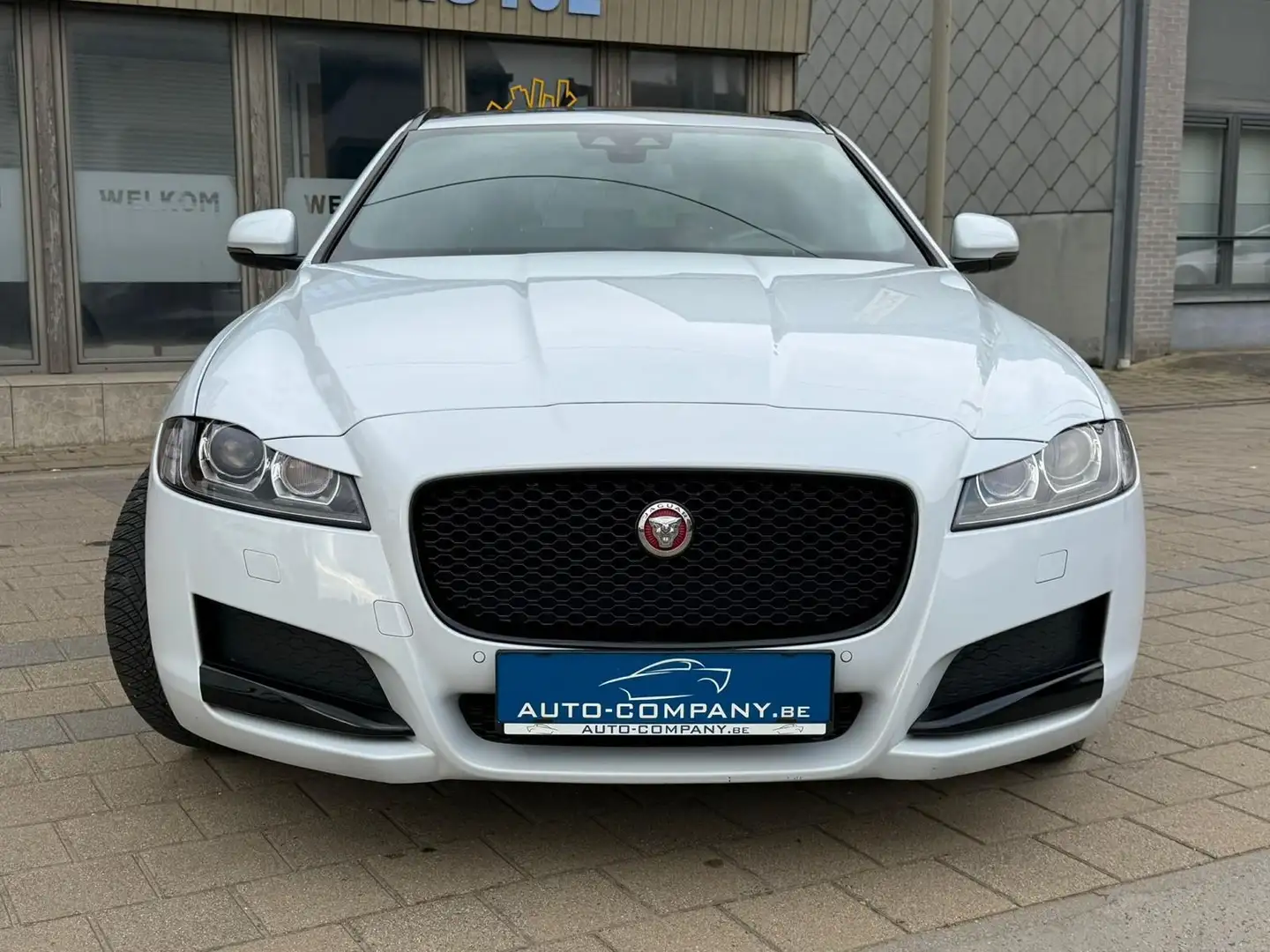 Jaguar XF XF E-Performance Sportbrake Aut. Pure Wit - 1