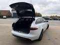 Jaguar XF XF E-Performance Sportbrake Aut. Pure Wit - thumbnail 7
