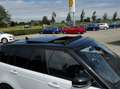 Land Rover Range Rover Sport 3.0 TDV6 HSE Dynamic|Carplay|22 Wit - thumbnail 16