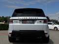 Land Rover Range Rover Sport 3.0 TDV6 HSE Dynamic|Carplay|22 Wit - thumbnail 5