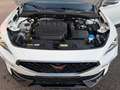 CUPRA Formentor VZ 2.0 TSI  / LED / Weiß - thumbnail 36