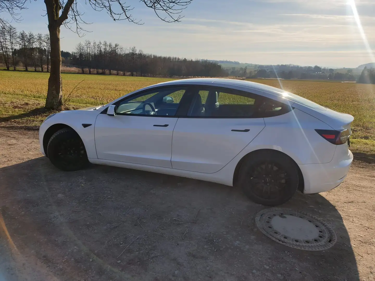 Tesla Model 3 Model 3 RWD Hinterradantrieb Weiß - 2