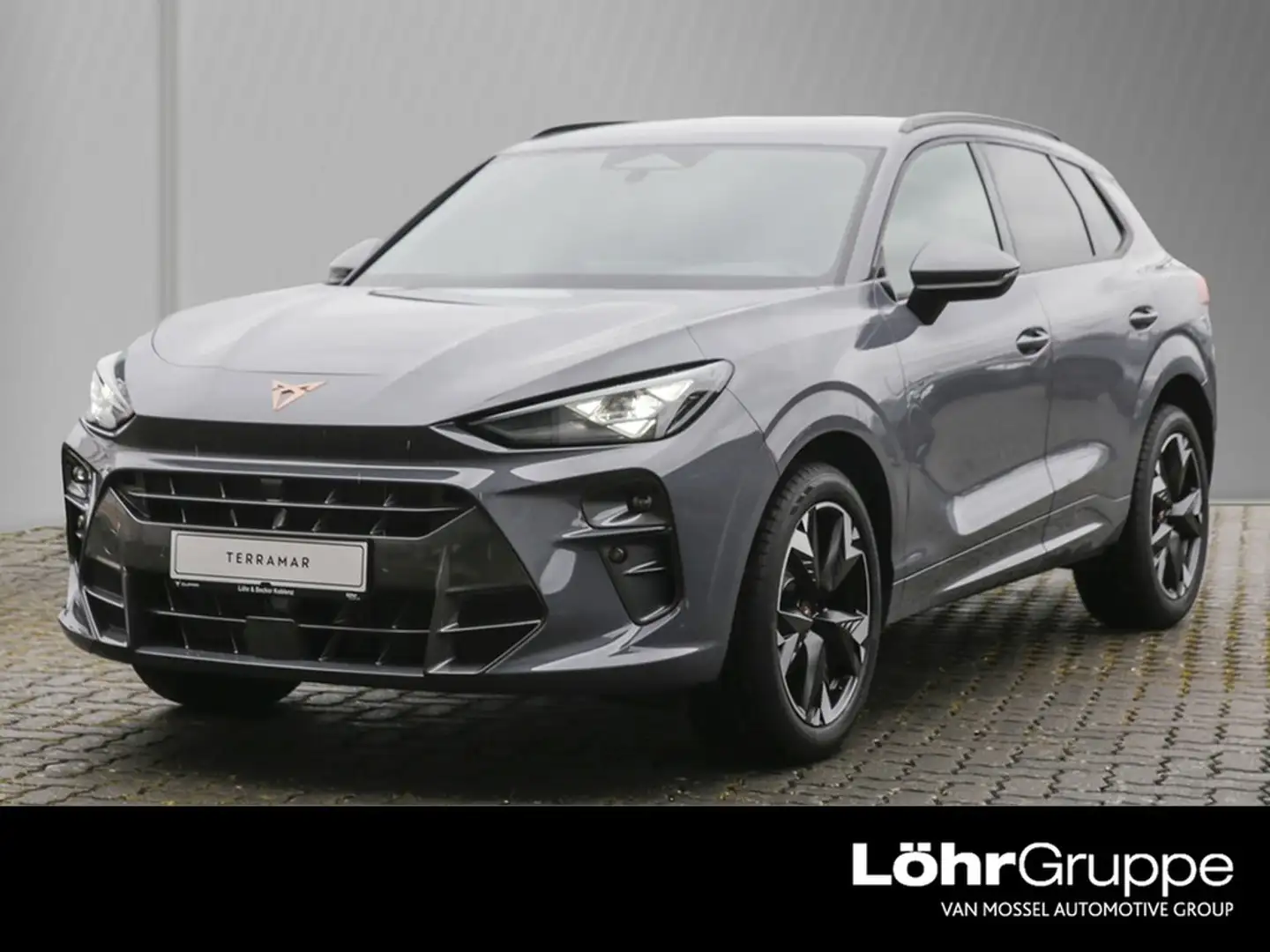 CUPRA Terramar 1.5 eTSI 110kW/150PS 7-Gang-DSG Gris - 1