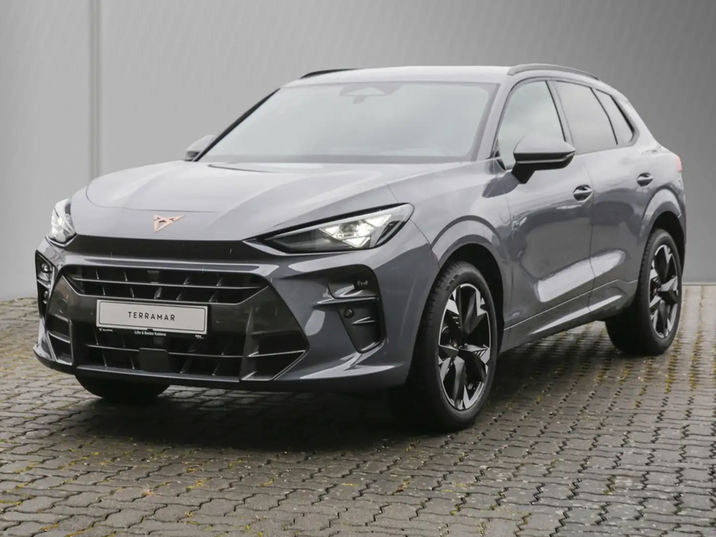 CUPRA Terramar 1.5 eTSI 110kW/150PS 7-Gang-DSG Gris - 2