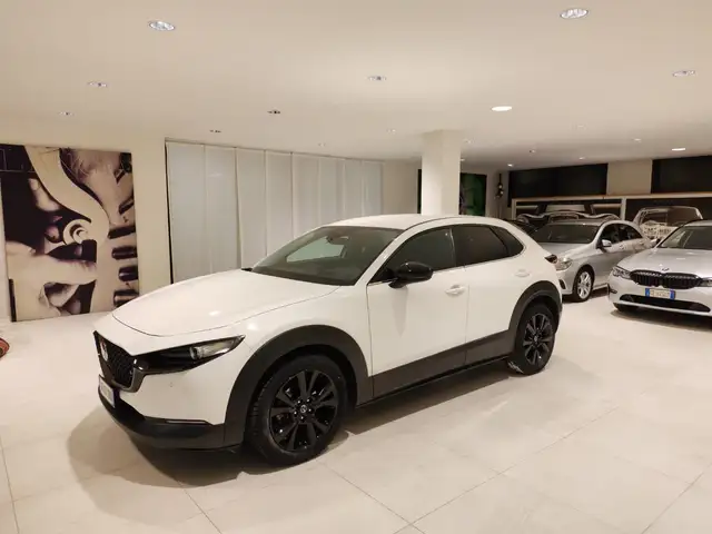 Mazda CX-30 2.0L e-Skyactiv-G MHEV Executive Adap. Cruise Blis