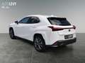 Lexus UX 250h F-Sport AWD LEDER*CARPLAY*Mark Levinson Wit - thumbnail 4