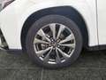 Lexus UX 250h F-Sport AWD LEDER*CARPLAY*Mark Levinson Wit - thumbnail 15