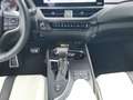 Lexus UX 250h F-Sport AWD LEDER*CARPLAY*Mark Levinson Wit - thumbnail 12