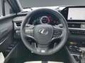 Lexus UX 250h F-Sport AWD LEDER*CARPLAY*Mark Levinson Wit - thumbnail 13