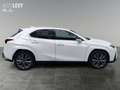 Lexus UX 250h F-Sport AWD LEDER*CARPLAY*Mark Levinson Wit - thumbnail 7
