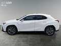 Lexus UX 250h F-Sport AWD LEDER*CARPLAY*Mark Levinson Wit - thumbnail 3