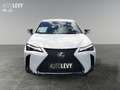 Lexus UX 250h F-Sport AWD LEDER*CARPLAY*Mark Levinson Wit - thumbnail 9