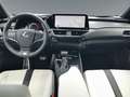 Lexus UX 250h F-Sport AWD LEDER*CARPLAY*Mark Levinson Wit - thumbnail 11