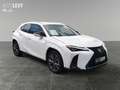 Lexus UX 250h F-Sport AWD LEDER*CARPLAY*Mark Levinson Wit - thumbnail 8