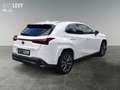 Lexus UX 250h F-Sport AWD LEDER*CARPLAY*Mark Levinson Wit - thumbnail 6