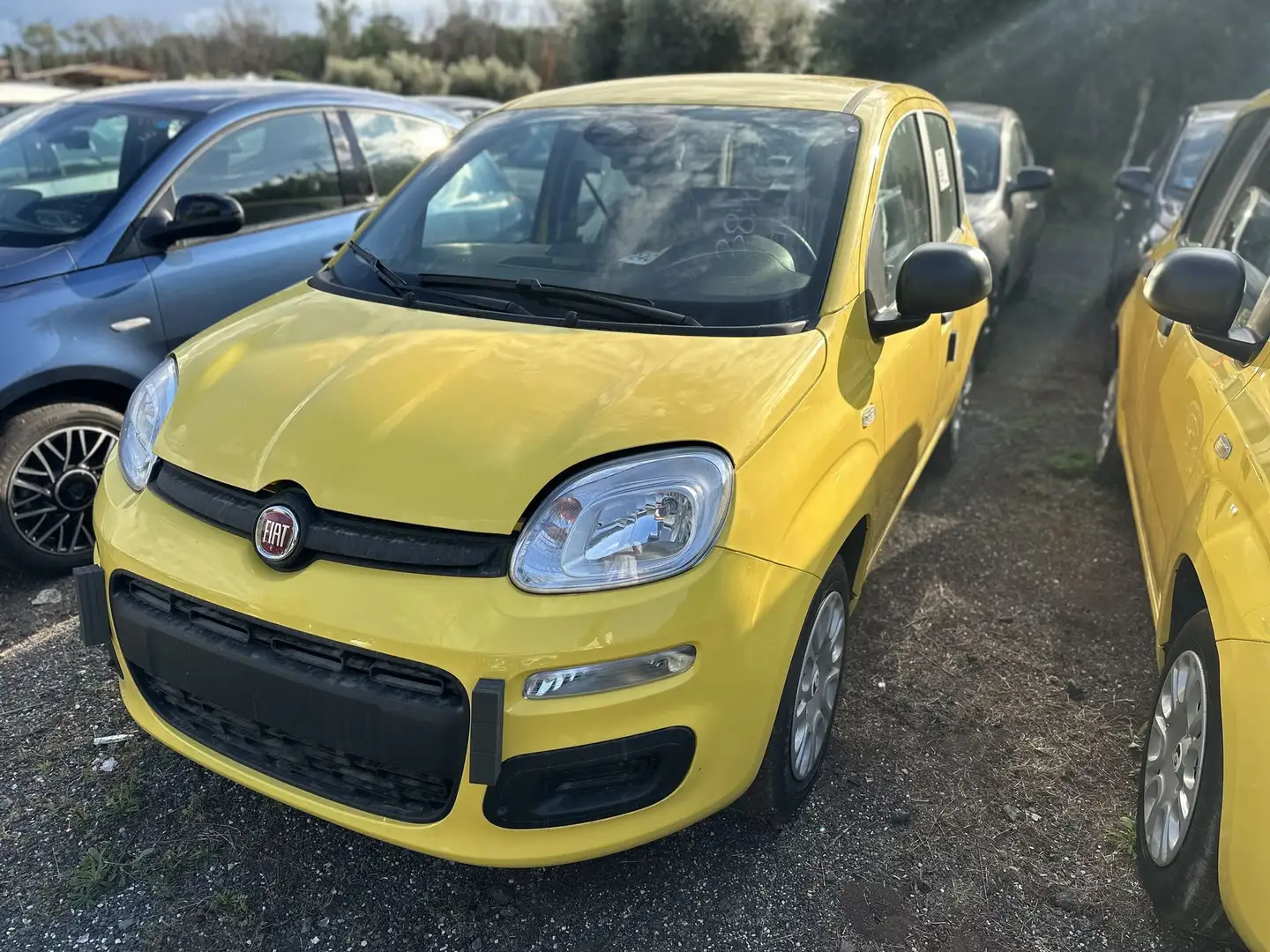 Fiat Panda Panda 1.0 FireFly S&S Hybrid Pop Giallo - 1