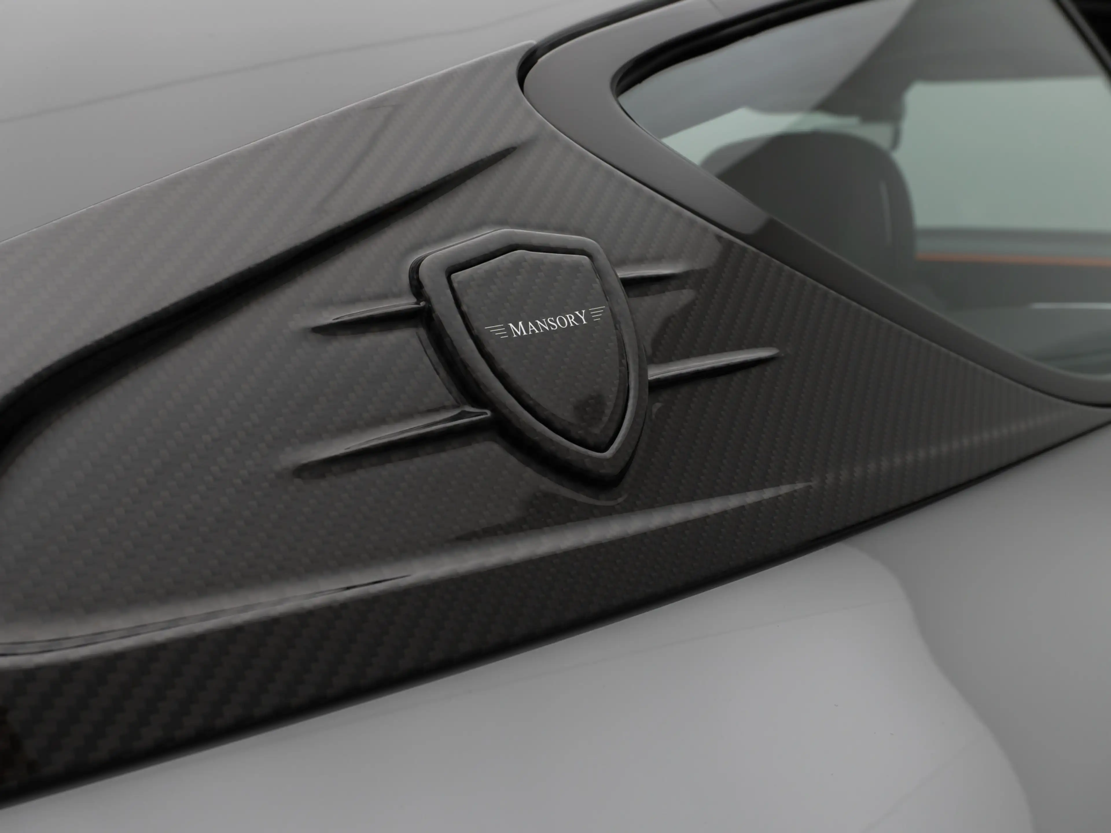 Bentley Continental GT MANSORY 1of1 Speed First Edition — photo 18