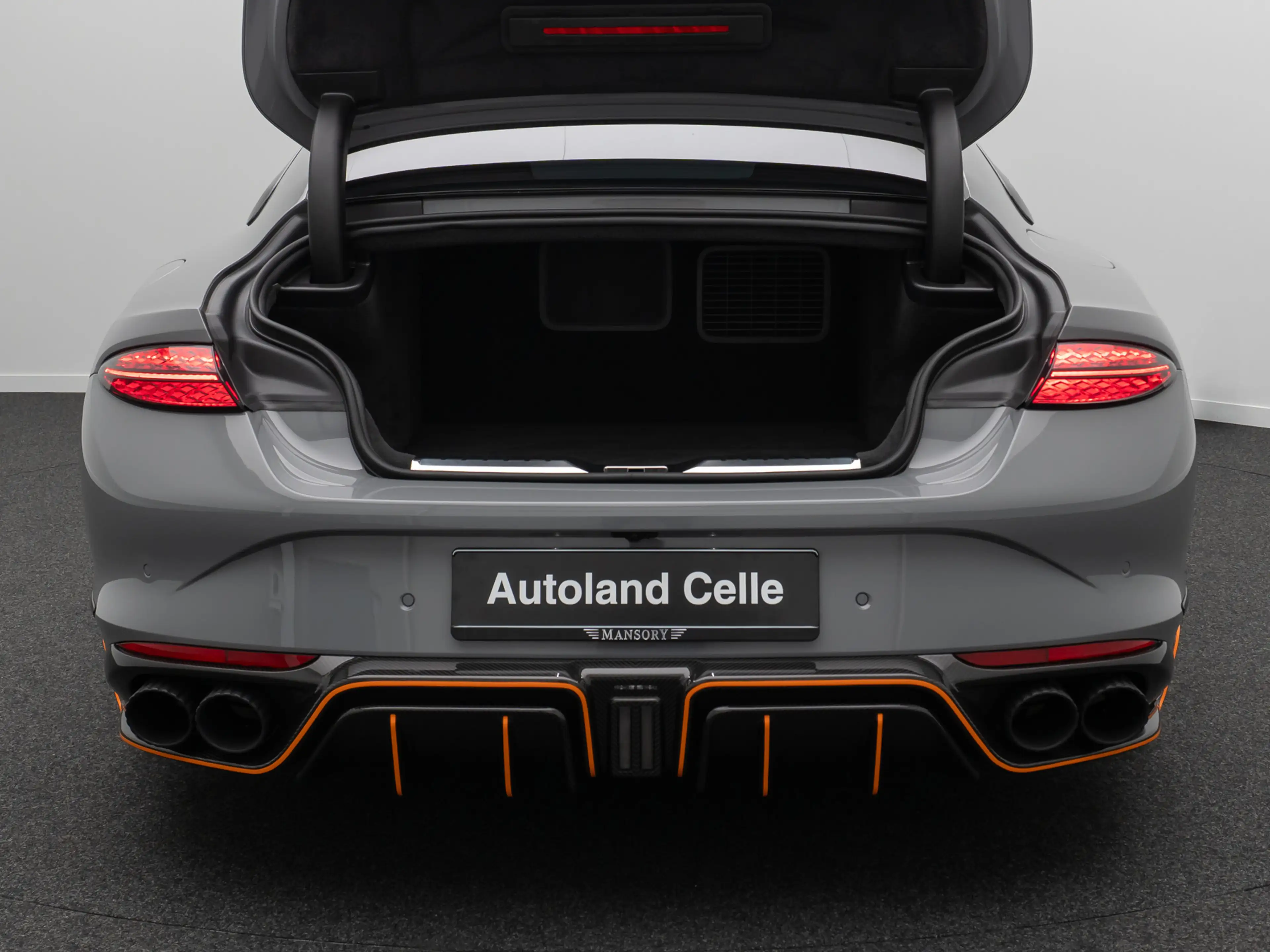 Bentley Continental GT MANSORY 1of1 Speed First Edition — photo 13