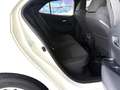 Toyota Corolla 125H Active Blanc - thumbnail 11
