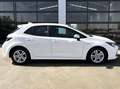 Toyota Corolla 125H Active Blanc - thumbnail 14
