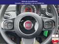 Fiat 500 1.0 70 ch hybride bsg s/s cult Noir - thumbnail 10