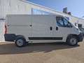 Fiat Ducato Ducato Kastenwagen L2H1 120PS Diesel, netto €25... Weiß - thumbnail 3