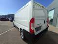 Fiat Ducato Ducato Kastenwagen L2H1 120PS Diesel, netto €25... Weiß - thumbnail 5
