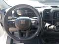 Fiat Ducato Ducato Kastenwagen L2H1 120PS Diesel, netto €25... Weiß - thumbnail 11