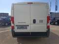 Fiat Ducato Ducato Kastenwagen L2H1 120PS Diesel, netto €25... Weiß - thumbnail 4